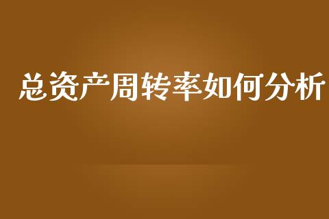 总资产周转率如何分析_https://wap.jnlaobingbanjia.com_股市行情_第1张
