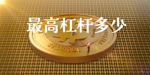 最高杠杆多少_https://wap.jnlaobingbanjia.com_基金分析_第1张