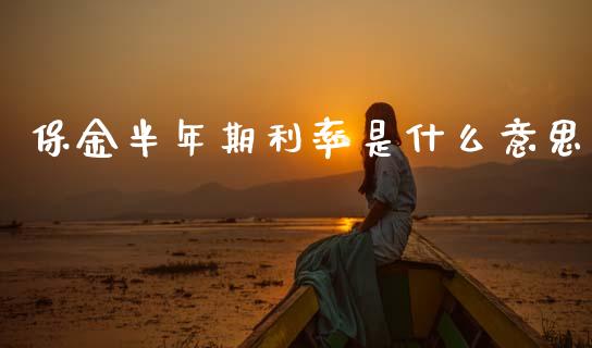 保金半年期利率是什么意思_https://wap.jnlaobingbanjia.com_基金分析_第1张