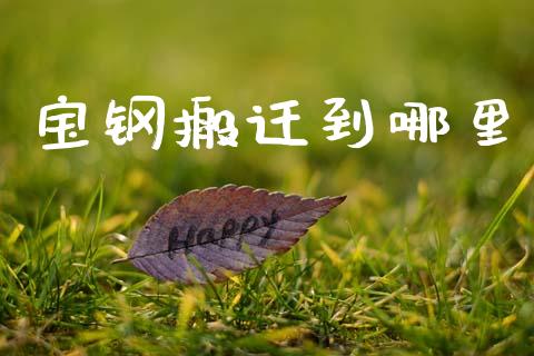 宝钢搬迁到哪里_https://wap.jnlaobingbanjia.com_基金分析_第1张