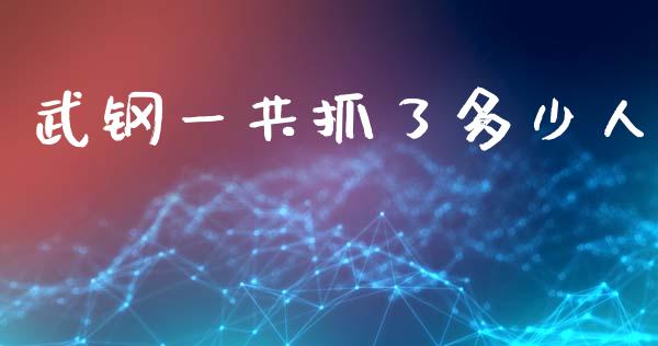 武钢一共抓了多少人_https://wap.jnlaobingbanjia.com_股市行情_第1张