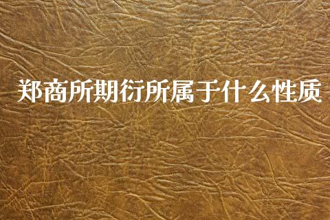 郑商所期衍所属于什么性质_https://wap.jnlaobingbanjia.com_基金分析_第1张