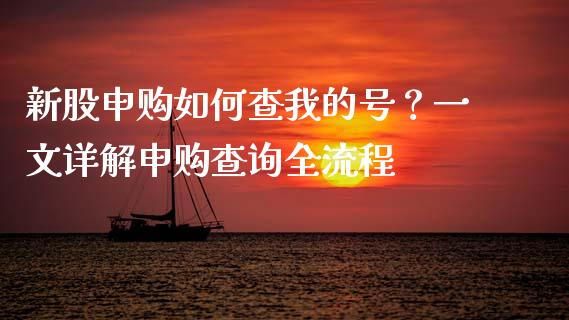 新股申购如何查我的号？一文详解申购查询全流程_https://wap.jnlaobingbanjia.com_财经资讯_第1张