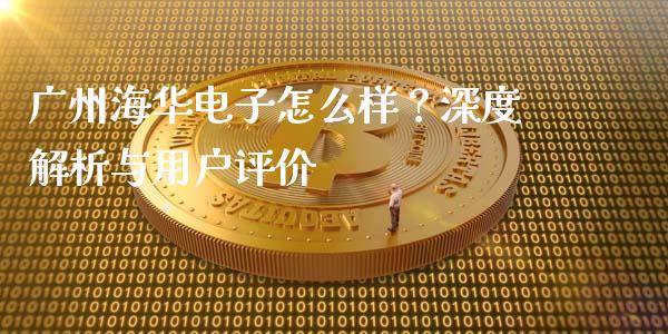 广州海华电子怎么样？深度解析与用户评价_https://wap.jnlaobingbanjia.com_财务管理_第1张