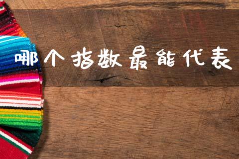 哪个指数最能代表_https://wap.jnlaobingbanjia.com_财务管理_第1张