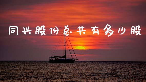 同兴股份总共有多少股_https://wap.jnlaobingbanjia.com_基金分析_第1张