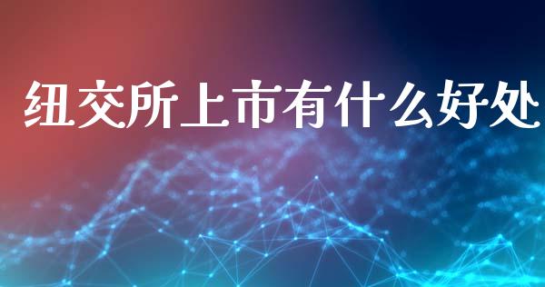 纽交所上市有什么好处_https://wap.jnlaobingbanjia.com_股市行情_第1张