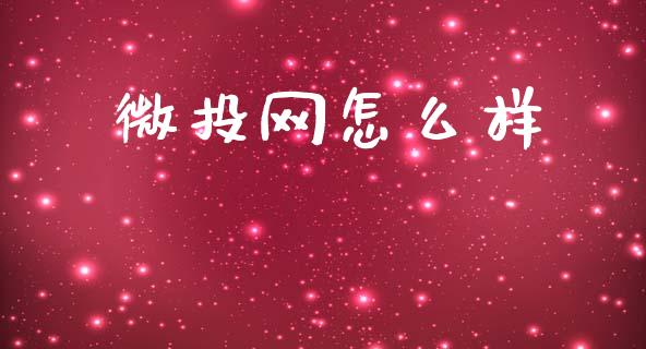 微投网怎么样_https://wap.jnlaobingbanjia.com_财务管理_第1张