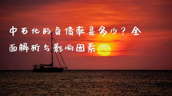 中石化的负债率是多少？全面解析与影响因素_https://wap.jnlaobingbanjia.com_财经资讯_第1张