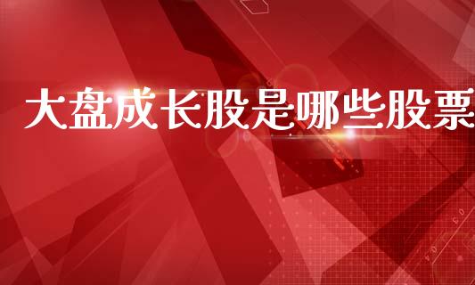 大盘成长股是哪些股票_https://wap.jnlaobingbanjia.com_财经资讯_第1张