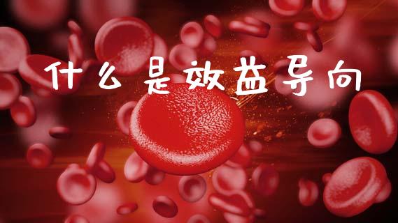 什么是效益导向_财务管理_第1张_财经资讯_股市行情_财务管理_金融理财 什么是效益导向_https://wap.jnlaobingbanjia.com_财务管理_第1张