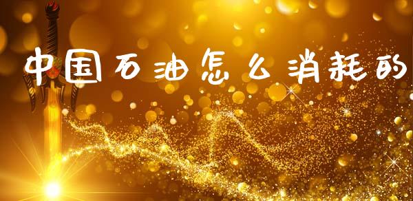 中国石油怎么消耗的_https://wap.jnlaobingbanjia.com_财务管理_第1张
