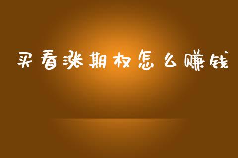 买看涨期权怎么赚钱_https://wap.jnlaobingbanjia.com_金融理财_第1张