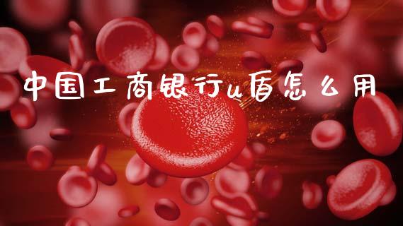 中国工商银行u盾怎么用_https://wap.jnlaobingbanjia.com_证券公告_第1张