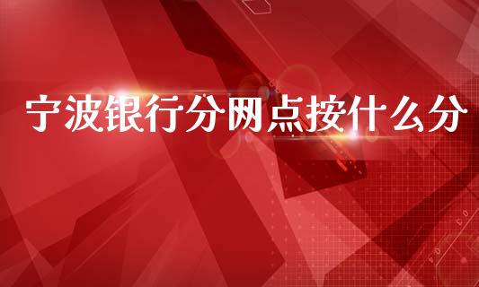 宁波银行分网点按什么分_https://wap.jnlaobingbanjia.com_证券公告_第1张