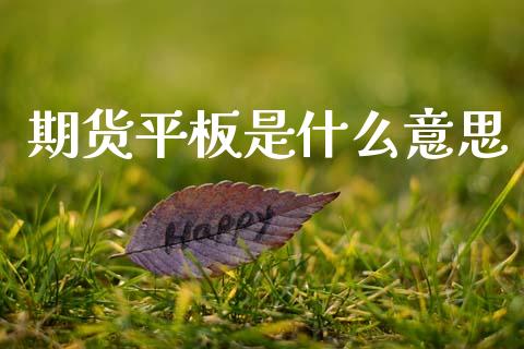 期货平板是什么意思_https://wap.jnlaobingbanjia.com_基金分析_第1张