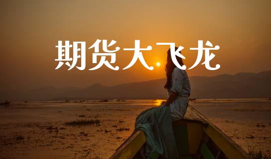 期货大飞龙_https://wap.jnlaobingbanjia.com_金融理财_第1张