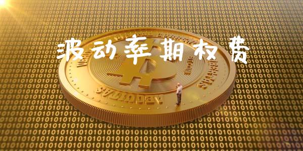 波动率期权费_https://wap.jnlaobingbanjia.com_财务管理_第1张