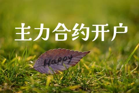 主力合约开户_https://wap.jnlaobingbanjia.com_基金分析_第1张