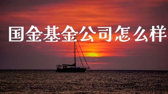 国金基金公司怎么样_https://wap.jnlaobingbanjia.com_财经资讯_第1张