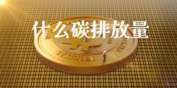 什么碳排放量_https://wap.jnlaobingbanjia.com_金融理财_第1张