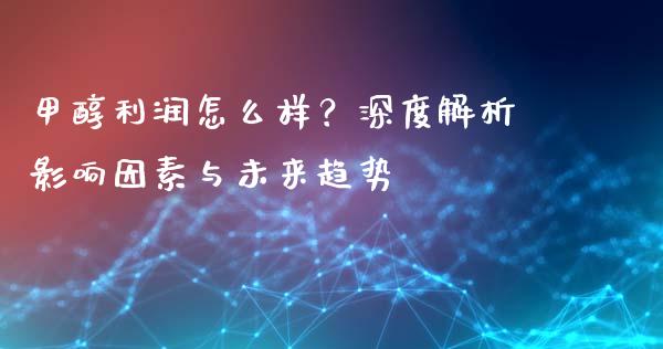 甲醇利润怎么样？深度解析影响因素与未来趋势_https://wap.jnlaobingbanjia.com_财务管理_第1张