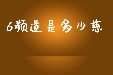 6频道是多少慈_https://wap.jnlaobingbanjia.com_金融理财_第1张