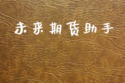 未来期货助手_https://wap.jnlaobingbanjia.com_金融理财_第1张