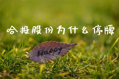 哈投股份为什么停牌_https://wap.jnlaobingbanjia.com_金融理财_第1张