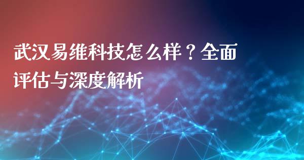 武汉易维科技怎么样？全面评估与深度解析_https://wap.jnlaobingbanjia.com_证券公告_第1张