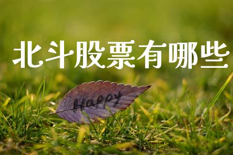 北斗股票有哪些_https://wap.jnlaobingbanjia.com_股市行情_第1张