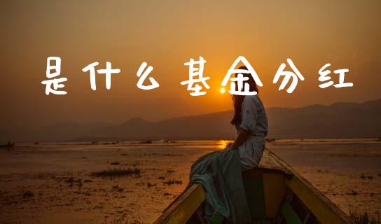 是什么基金分红_https://wap.jnlaobingbanjia.com_金融理财_第1张