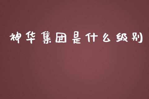 神华集团是什么级别_https://wap.jnlaobingbanjia.com_财务管理_第1张