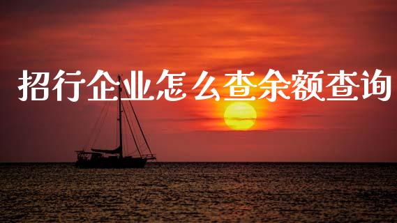 招行企业怎么查余额查询_https://wap.jnlaobingbanjia.com_基金分析_第1张