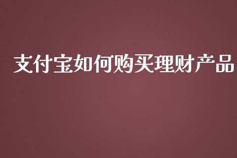 支付宝如何购买理财产品_https://wap.jnlaobingbanjia.com_股市行情_第1张