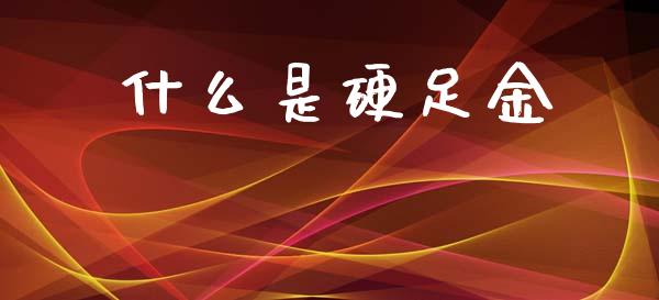 什么是硬足金_https://wap.jnlaobingbanjia.com_财经资讯_第1张