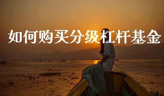 如何购买分级杠杆基金_https://wap.jnlaobingbanjia.com_股市行情_第1张