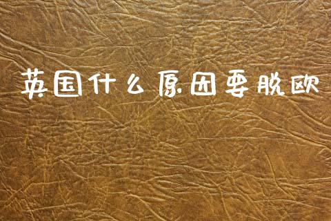 英国什么原因要脱欧_https://wap.jnlaobingbanjia.com_证券公告_第1张