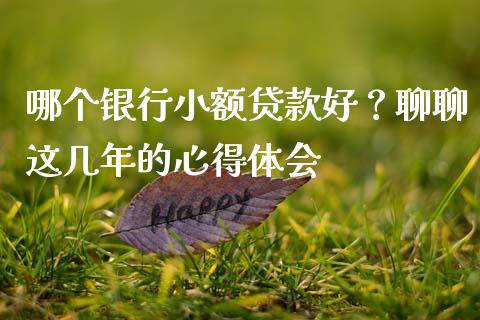 哪个银行小额贷款好？聊聊这几年的心得体会_https://wap.jnlaobingbanjia.com_证券公告_第1张