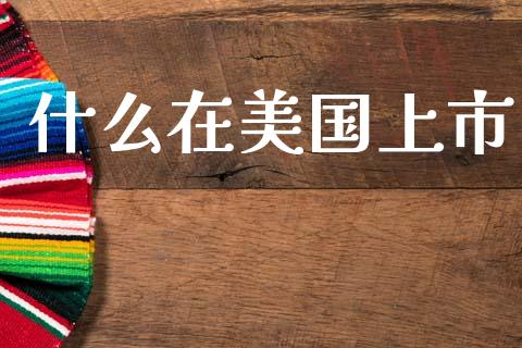 什么在美国上市_https://wap.jnlaobingbanjia.com_基金分析_第1张
