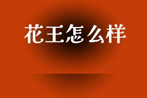 花王怎么样_证券公告_第1张_财经资讯_股市行情_财务管理_金融理财 花王怎么样_https://wap.jnlaobingbanjia.com_证券公告_第1张