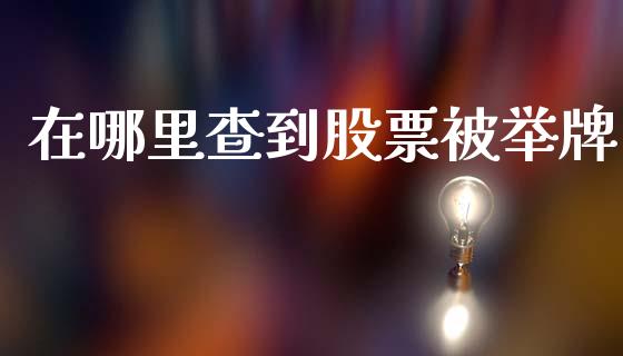 在哪里查到股票被举牌_https://wap.jnlaobingbanjia.com_证券公告_第1张