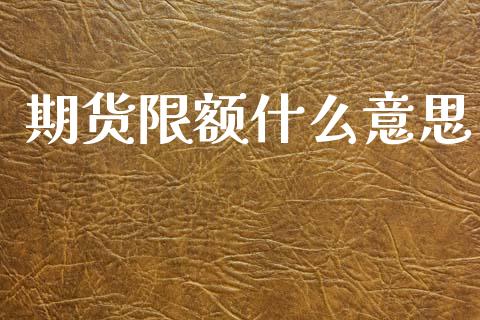 期货限额什么意思_https://wap.jnlaobingbanjia.com_股市行情_第1张