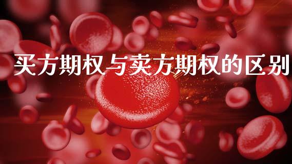 买方期权与卖方期权的区别_https://wap.jnlaobingbanjia.com_基金分析_第1张