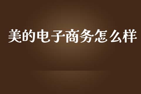 美的电子商务怎么样_https://wap.jnlaobingbanjia.com_财务管理_第1张