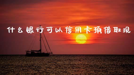 什么银行可以信用卡预借取现_https://wap.jnlaobingbanjia.com_证券公告_第1张