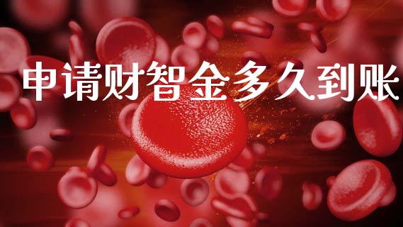 申请财智金多久到账_https://wap.jnlaobingbanjia.com_股市行情_第1张