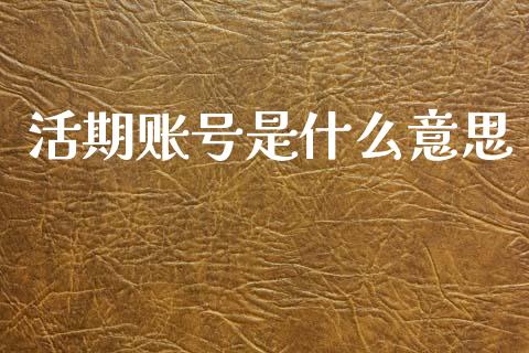 活期账号是什么意思_https://wap.jnlaobingbanjia.com_财务管理_第1张
