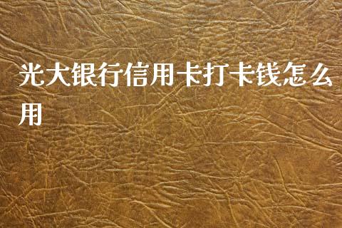 光大银行信用卡打卡钱怎么用_https://wap.jnlaobingbanjia.com_金融理财_第1张