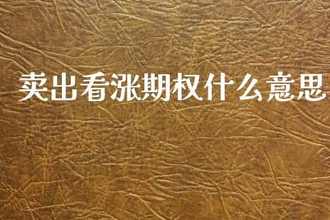 卖出看涨期权什么意思_https://wap.jnlaobingbanjia.com_基金分析_第1张